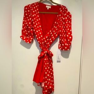 Beautiful Ronny Kobo  size large brand new silk dress